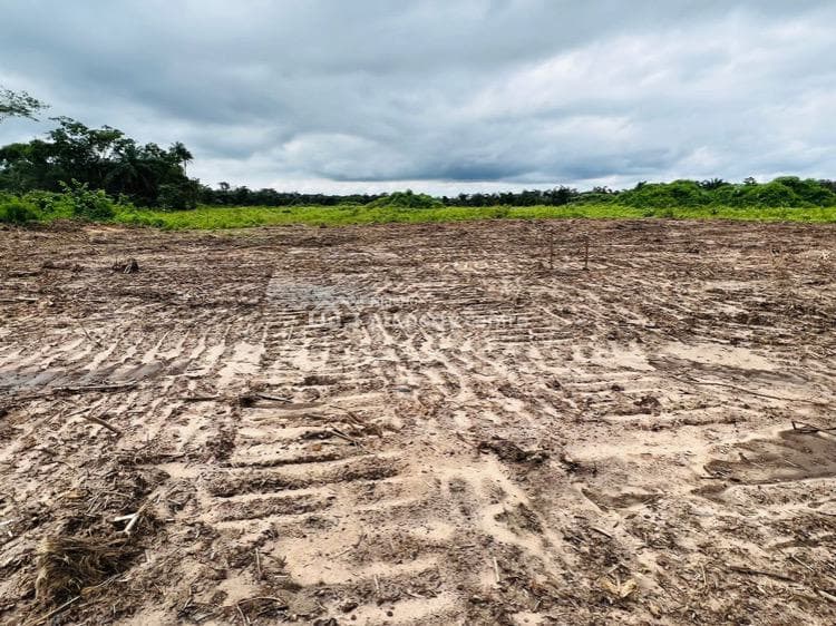 Land Investment 